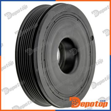 Poulie damper vilebrequin pour RENAULT | RKP-RE-017, 05651